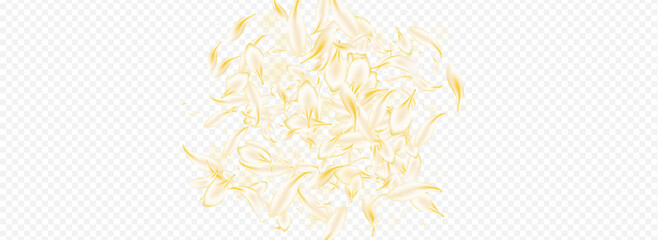 Delicate Floral Spring Vector Panoramic