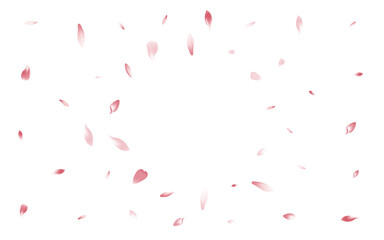 Fototapeta na wymiar Pink Peach Petal Vector White Background. Color