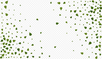 Green Leaves Fresh Vector Transparent Background