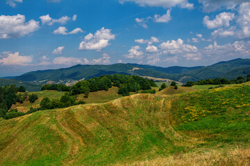 Beautiful summer landscape of National natural park - Low Tatras, Slovakia. Hills with dry grass, green trees and blue sky.