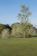 Fototapeta na wymiar Cowdray golf coarse, West Sussex, Uk, May 2023