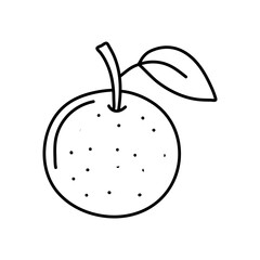 linear drawing oranges isolated on white background. Sketch for coloring booking page. Vector illustration