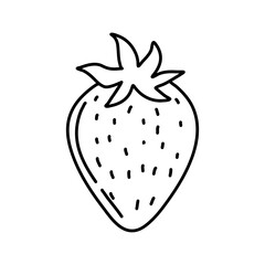 Strawberry hand drawn outline doodle icon. Vector sketch illustration of healthy berry, fresh raw strawberry for print, web, mobile and infographics isolated on white background.