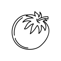 Tomato doodle icon. tomato. vector illustration