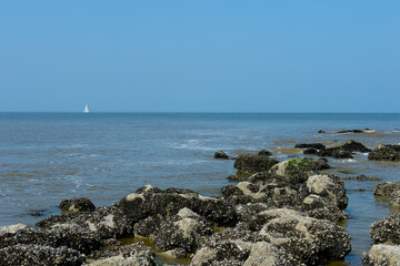 North sea ostend Belgium