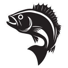 fish on white background