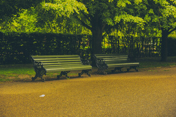 bench in the park ,Hyde park 