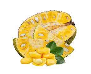 Jackfruit  on transparent png