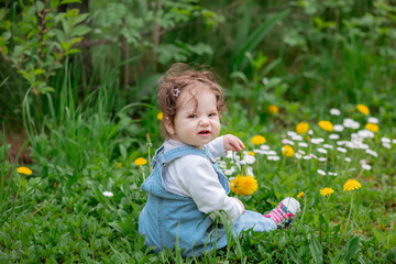 Happy little baby girl sitting on a green meadow with yellow flowers dandelions on the nature in the park