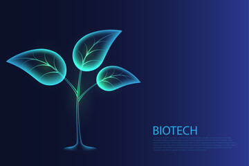 Biotechnology concept. Green growing plant sprout. Plant hologram on blue background. vector illustration.