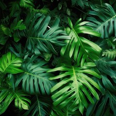 Obraz na płótnie Canvas tropical forest plants ,nature green background, tropical leaf.ai generative