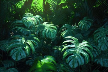 Fototapeta premium tropical forest plants ,nature green background, tropical leaf.ai generative