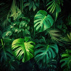 palm tree leaves , tropical forest plants ,nature green background, tropical leaf.ai generative	