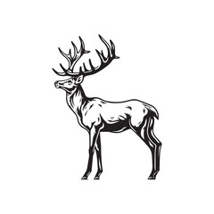 deer engraving isolated on white background