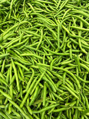 fresh picked green beans have been harvested and ready to eat