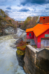 Fototapety na wymiar - Fototapeta24.pl