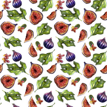 Seamless pattern with ripe fruits and fig flowers. Watercolor drawing of plants on a white background.
