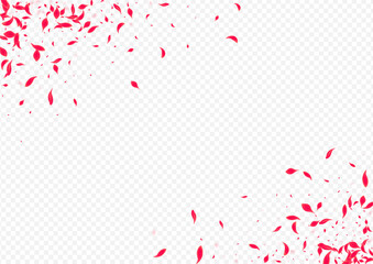 Red Cherry Vector Transparent Background. Fly