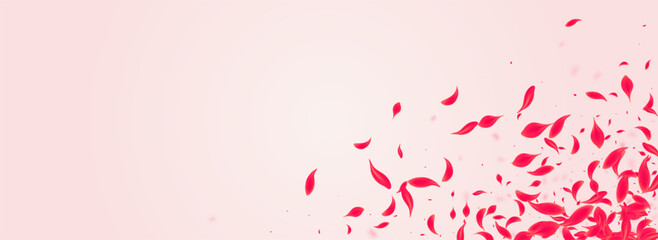 Ruby Rose Vector Pink Panoramic Background.