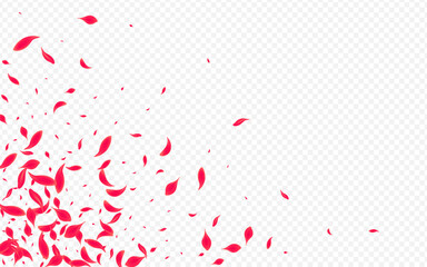 Pink Lotus Vector Transparent Background. Flying