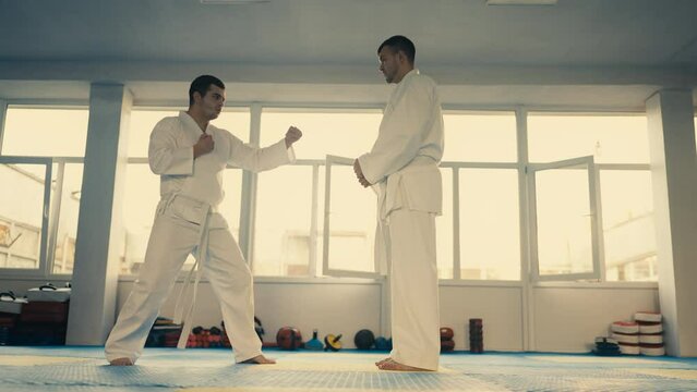 Male student practicing kicks with his teacher in gym, mastering taekwondo
