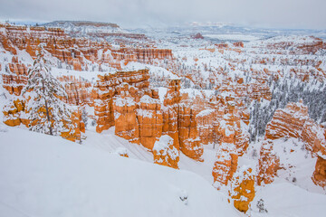 Winter in Bryce Canyon National Park, United States Of America