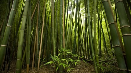 green bamboo forest generative ai