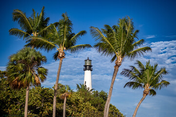 lighthouse on the beach - palm tree