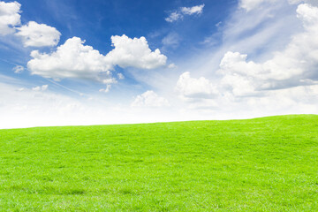 The Summer meadow and blue sky