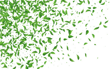 Swamp Greens Flying Vector White Background