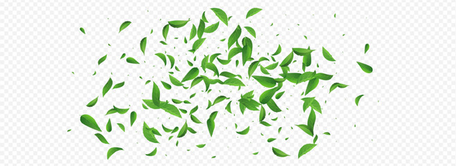 Green Foliage Realistic Vector Panoramic