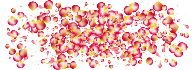 Red Lotus Fall Vector Panoramic White Background.