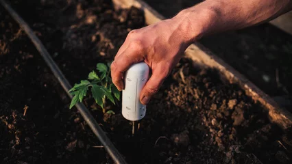 Fotobehang Man gardener using soil testing device in greenhouse © memento_jpeg