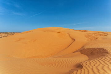 Picturesque view of the dunes in the desert on a sunny summer day.
