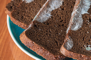 Dry musty bread. Spoiled, non-consumable food. Slices of black bread, covered with mold. Mold on bread