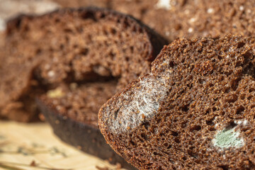 Dry musty bread. Spoiled, non-consumable food. Slices of black bread, covered with mold. Mold on bread