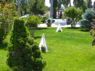 Fototapeta premium Green lawn with bushes and trees