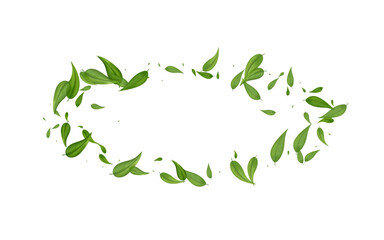 Grassy Greens Falling Vector White Background