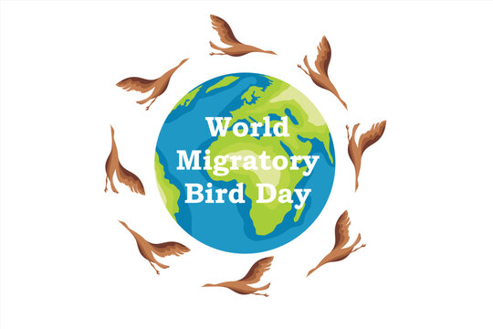 World Migratory Bird Day vector illustration - Powered by Adobe