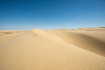 Fototapeta na wymiar Barren desert landscape in hot climate with sand dunes