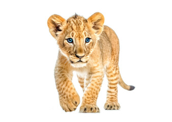 Obraz na płótnie Canvas Lion cub in front of a white background. Generative AI.