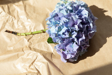 Purple hydrangea on a on brown crumpled paper background. Flowers background, close-up