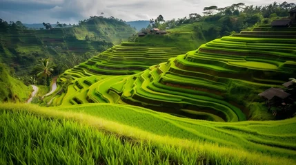 Foto op Canvas Jatiluwih Rice Terraces, Bali, Indonesia, Generative AI © Salsabila Ariadina