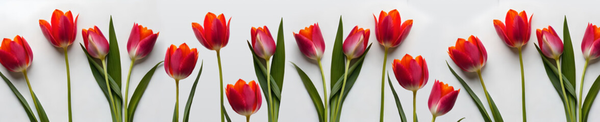 Naklejka premium Colorful bouquet of tulips and copyspace. Generative AI