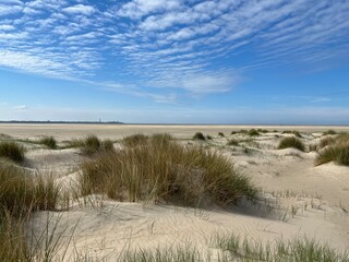 Fototapeta na wymiar sand dunes in the dunes