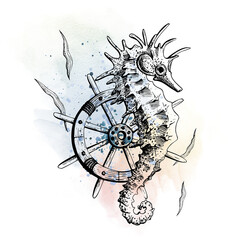 Seahorse with a ship's wheel and seaweed, graphics against the background of watercolor stains and splashes. An illustration drawn by hand. Isolated composition on a white background.