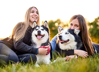 Naklejka na ściany i meble Millennial girls playing with their siberian husky dogs outdoors in the grass - Cheerful young owners and their pets having fun together in the garden - Dog and human frinedship concept