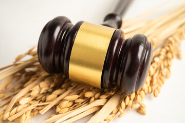 Judge gavel hammer with good grain rice from agriculture farm. Law and justice court concept.