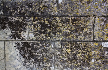 stone wall texture