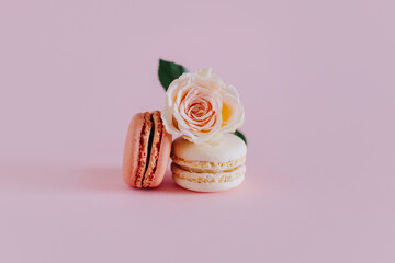 Tasty french macarons with tender rose flowers on a pink pastel background.
